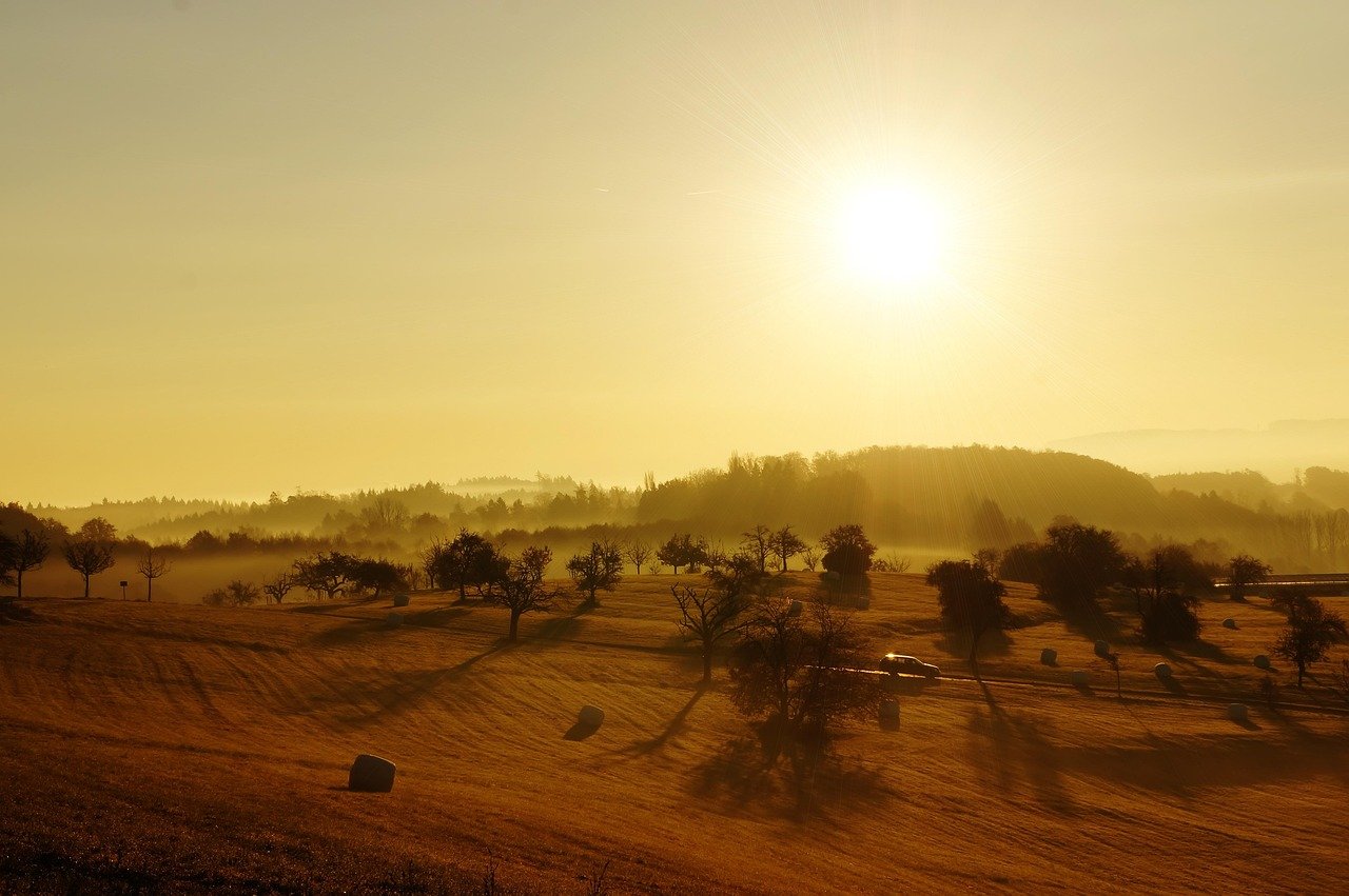 sunrise, landscape, fields, nature, lonely, fall, germany, yellow, sunny, sun, tomorrow